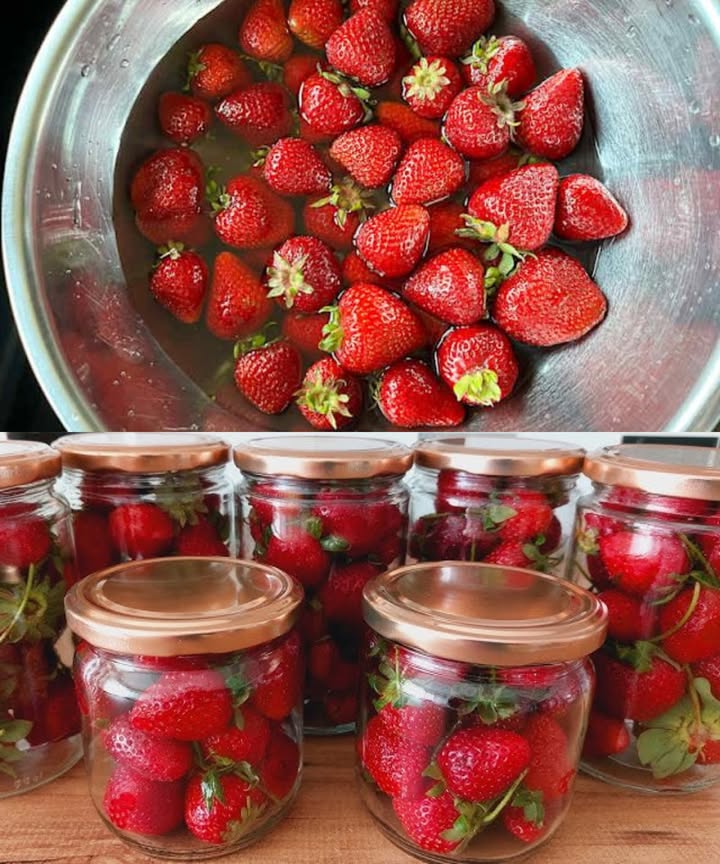 Conserva fresas frescas hasta 2 años con el truco del agricultor Un método sencillo que mantiene sabor, color y nutrientes por largo tiempo. Ingredientes y materiales: 2 kg de fresas 2 cdas. de azúcar por frasco Agua hirviendo Frascos de vidrio con tapa hermética Preparación: Lavar las fresas en agua durante 510 minutos y retirar los tallos. Lavar bien los frascos y esterilizarlos. Llenar cada frasco con fresas y añadir 2 cucharadas de azúcar. Cubrir con agua hirviendo hasta el borde y cerrar. Colocar los frascos en una olla con agua hasta la mitad y hervir 15 minutos. Retirar, colocar boca abajo sobre un paño y dejar enfriar. Conservación: Guardar en un lugar fresco, seco y protegido de la luz. Si el sellado es correcto, las fresas se mantendrán perfectas hasta 24 meses. Un truco ideal para disfrutar de fresas dulces y frescas en cualquier época del año.