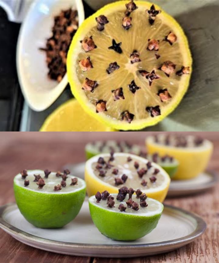 練 Moscas Fuera: Trucos Naturales con Clavo para un Hogar Libre de Insectos 

Despiertas, sirves tu desayuno y llegan ellas. Las moscas. Pero con clavo de olor, el problema se soluciona fácil, rápido y sin químicos.

 Clavo  Limón = Defensa aromática
 Corta un limón por la mitad
 Inserta 612 clavos en cada parte
 Coloca en platos sobre la mesa o cerca de ventanas
 Bonus: también funciona con naranja o cebolla

狀 Bolsita repelente con clavo
 Llena una bolsa de tela fina gasa o tul con clavos
 Cierra con hilo o goma
 Colócala o cuélgala en zonas concurridas por moscas
 Resultado: aroma agradable  moscas alejadas

 Clavo  Vinagre
 En un vaso: 3 cucharadas de vinagre  varios clavos
 Coloca cerca de marcos de ventana o puertas
 Alternativa: rocía vinagre blanco en encimeras y mesas
 Limpieza  protección en un solo paso

 Aceite esencial de clavo
 2 gotas sobre un algodón
 Coloca en rincones estratégicos fuera del alcance de niños
 También apto para difusor eléctrico
 Consejo: no aplicar puro sobre la piel

 Este verano, olvídate de las moscas con estos remedios naturales: ecológicos, eficaces y con aroma a hogar limpio.