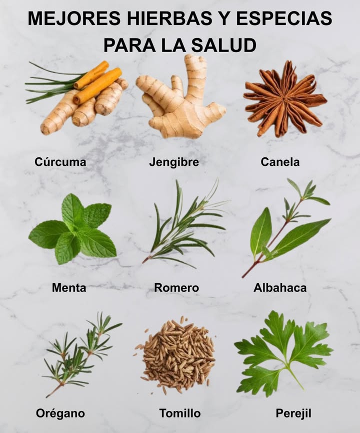 Mejores Hierbas y Especias para la Salud 

 Cúrcuma  Antiinflamatoria y antioxidante natural
 Jengibre  Refuerza defensas y mejora la digestión
 Canela  Regula azúcar en sangre y aporta energía
 Menta  Alivia molestias digestivas y refresca
 Romero  Estimula la memoria y la circulación
 Albahaca  Propiedades antibacterianas y calmantes
 Orégano  Potente antimicrobiano y protector respiratorio
 Tomillo  Expectorante natural y refuerzo inmunitario
 Perejil  Rico en hierro y vitamina C, depurativo

 Aliados naturales para cuidar cuerpo y mente cada día.