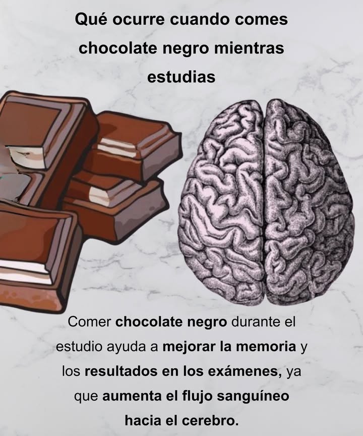 El poder del chocolate negro para el cerebro Comer chocolate negro mientras estudias estimula la concentración y la memoria. Sus flavonoides aumentan el flujo sanguíneo cerebral, mejorando el rendimiento y la claridad mental. 易 Más energía, mejor enfoque y resultados más altos en los exámenes.