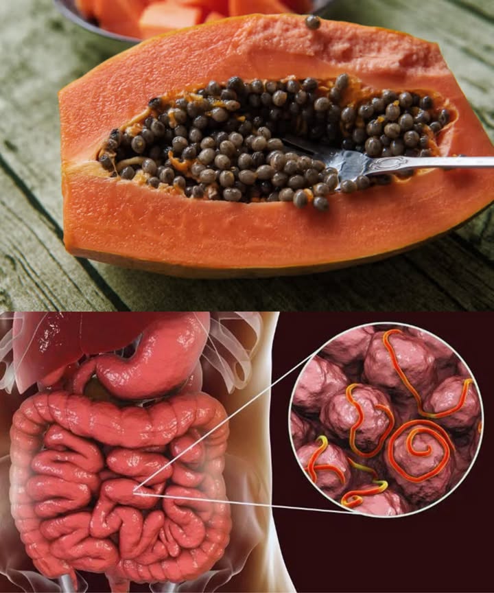 SEMILLAS DE PAPAYA: PEQUEÑAS PERO PODEROSAS 13 beneficios esenciales Mejora digestión gracias a la papaína Desintoxica y protege el hígado Favorece la salud renal Reduce inflamación y dolor articular Combate infecciones bacterianas y parásitos intestinales Protege y embellece la piel Reduce colesterol malo LDL Fortalece el sistema inmunitario Previene el cáncer gracias a antioxidantes Ayuda a perder peso y controlar el apetito Regula presión arterial y circulación Equilibra niveles de azúcar en sangre Apoya la salud cardiovascular Formas de incorporarlas Batidos y licuados 1 cucharadita de polvo por bebida 綾 Ensaladas espolvorear enteras o molidas Té infusionar semillas en agua caliente Como especia sustituto natural de la pimienta Crudas empezar con pequeñas cantidades Cómo hacer polvo de semilla de papaya 1 Recolectar semillas de papaya madura 2 Lavar y limpiar bien 3 Secar a la sombra durante 57 días 4 Moler hasta obtener un polvo fino 5 Guardar en recipiente hermético en lugar fresco y seco Precaución Consumir con moderación. Evitar en embarazo, alergia a papaya o látex. Consultar médico si hay enfermedades o medicación. Las semillas de papaya son un tesoro nutricional y medicinal. Pequeñas, picantes y llenas de beneficios, perfectas para potenciar la salud de forma natural.