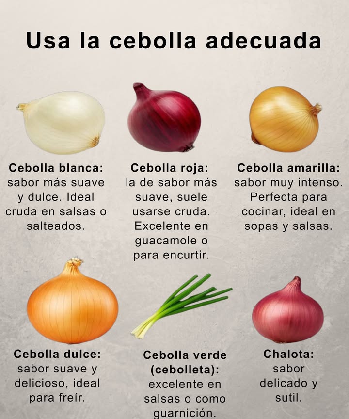 Usa la cebolla adecuada 

暈 Cebolla blanca  Suave y dulce, perfecta cruda en salsas o salteados.
暈 Cebolla roja  De sabor suave, ideal en guacamole o encurtidos.
暈 Cebolla amarilla  Intensa y aromática, excelente para sopas y salsas.
暈 Cebolla dulce  Suave y deliciosa, ideal para freír.
暈 Cebolla verde cebolleta  Fresca y ligera, perfecta en salsas o como guarnición.
暈 Chalota  Delicada y sutil, ideal para dar un toque elegante.