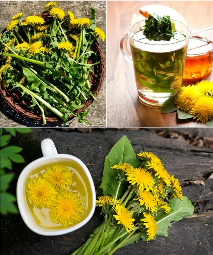 Diente de león: la hierba olvidada que deshincha y equilibra tu digestión

Bajo su apariencia de flor silvestre se esconde un potente tónico digestivo. El diente de león, más allá de su fama de maleza, es una planta medicinal con un poderoso efecto antiinflamatorio y depurativo que alivia la hinchazón, estimula la digestión y favorece el tránsito intestinal. Una solución natural, efectiva y suave para quienes buscan armonía digestiva sin químicos.

 Beneficios digestivos del diente de león

 Estimula la bilis: mejora la descomposición de las grasas y alivia la pesadez tras las comidas.
 Diurético natural: reduce la retención de líquidos sin afectar el potasio.
 Alivia gases e inflamación: gracias a la inulina, nutre la microbiota y reduce los desequilibrios.
 Regula el tránsito intestinal: su fibra suave favorece evacuaciones regulares y sin esfuerzo.
 Depura órganos clave: activa hígado, riñones e intestinos para una digestión más limpia y eficiente.

 Formas de usar el diente de león

 Infusión de hojas o raíces: 12 tazas al día después de las comidas. Perfecta para aliviar la hinchazón.
 Tintura: unas gotas en agua antes de comer para estimular el apetito y los jugos digestivos.
 Hojas frescas: agrégalas a ensaladas o batidos como amargo digestivo natural.
 Cápsulas o polvo: ideal para tratamientos continuos de soporte hepático e intestinal.

 Consejos clave

 Empieza con dosis pequeñas para observar la respuesta del cuerpo.
 Escoge siempre preparaciones naturales y de calidad.
 Combínalo con una dieta rica en fibra y agua para potenciar resultados.

 Atención

Evita su uso sin supervisión médica si tienes cálculos biliares, problemas renales o alergia a plantas de la familia de las compuestas.

Un aliado silencioso para una barriga feliz

Con cada sorbo o bocado de diente de león, ayudas a tu cuerpo a digerir mejor, eliminar lo que sobra y recuperar esa sensación de ligereza y confort. Su poder natural actúa desde la raíz, desinflamando, depurando y revitalizando tu sistema digestivo. Hazle un espacio en tu rutina y siente la diferencia desde dentro.