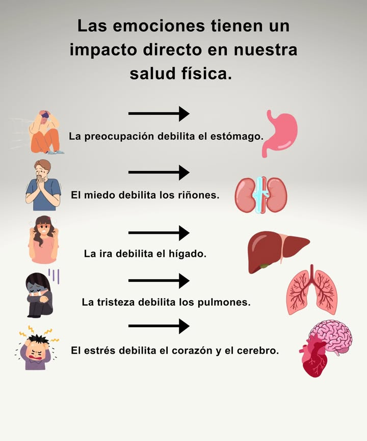 Las emociones tienen un impacto directo en nuestra salud física. Preocupación Estómago: Puede provocar exceso de acidez, indigestión, hinchazón y un mayor riesgo de úlceras. Miedo Riñones: La ansiedad prolongada puede afectar la función renal y agotar nuestras reservas de energía. Ira Hígado: Un exceso de ira puede sobrecargar el hígado, que es fundamental para desintoxicar y purificar la sangre. Duelo Pulmones: Puede debilitar nuestra respiración y reducir el suministro de oxígeno. Estrés Corazón y cerebro: Aumenta la presión arterial, provoca fatiga cardíaca y disminuye la claridad mental. Controlar las emociones a través de la atención plena, el movimiento y hábitos equilibrados fortalece tanto el cuerpo como la mente de manera sostenible.
