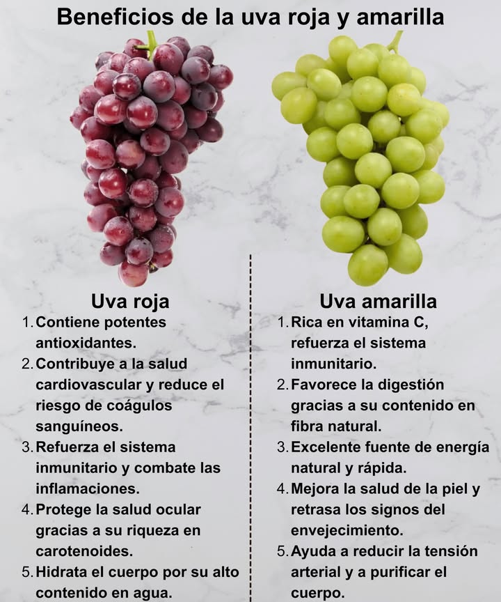 Beneficios de la uva roja y amarilla 

 Uva roja
1 Potentes antioxidantes que protegen las células
2 Cuida la salud cardiovascular y reduce coágulos
3 Refuerza el sistema inmunitario y combate inflamaciones
4 Protege la vista gracias a los carotenoides
5 Hidrata el cuerpo por su alto contenido en agua

 Uva amarilla
1 Rica en vitamina C, fortalece las defensas
2 Favorece la digestión con su fibra natural
3 Aporta energía rápida y saludable
4 Mejora la piel y retrasa el envejecimiento
5 Reduce la tensión arterial y purifica el organismo

 Dos variedades deliciosas, llenas de nutrientes y beneficios para tu salud.