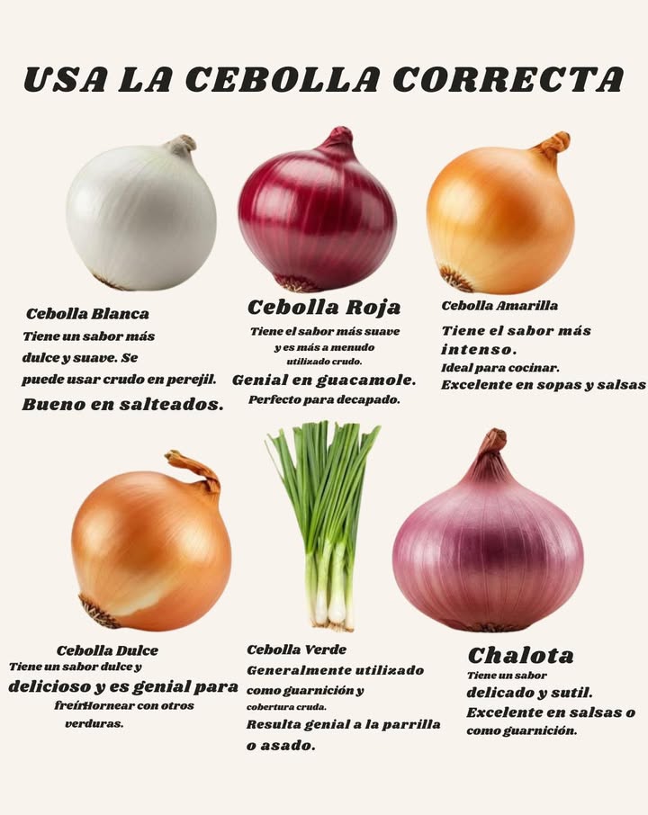 Guía práctica para elegir la cebolla ideal para cada receta 1 Cebolla blanca Sabor ligero y ligeramente dulce. Imprescindible en salsas, salsas frescas y salteados rápidos. 2 Cebolla roja Aroma suave y color vibrante. Ideal para ensaladas, guacamole y conservas. 3 Cebolla amarilla Sabor intenso y equilibrado. Perfecta para sopas, guisos, salsas y asados. 4 Cebolla dulce Caramelizada naturalmente y suave. Excelente para freír o asar con verduras y carnes. 5 Cebollino Fresco y suave. Ideal para decorar crudo o ligeramente asado. 6 Cebolla francesa échalot Sabor delicado y refinado. Ideal para vinagretas, salsas y platos sofisticados. Elegir la cebolla adecuada realza los sabores y convierte cualquier receta en un plato especial.