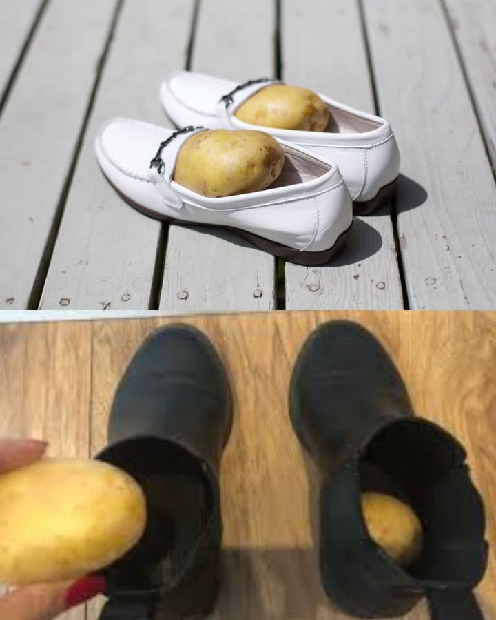 Coloca patatas peladas en los zapatos: solución para dos problemas Para estirar zapatos de cuero Pela 2 patatas. Mete una en cada zapato, empujándola hasta el fondo. Déjalas toda la noche. A la mañana siguiente, retira las patatas y limpia el interior con un paño húmedo. Para limpiar zapatos Parte una patata por la mitad. Frota la pulpa sobre la superficie del zapato. Limpia el exceso de jugo con un paño suave. Los zapatos quedarán brillantes y como nuevos. Para eliminar el mal olor Coloca patatas peladas dentro de los zapatos. Déjalas actuar durante la noche. Por la mañana, retíralas y limpia el interior con un paño húmedo. Otro truco para zapatos ajustados con agua Llena dos bolsas herméticas con un poco de agua. Mételas en los zapatos. Coloca los zapatos en una bolsa más grande y llévalos al congelador toda la noche. El agua al congelarse se expande y ensancha los zapatos.