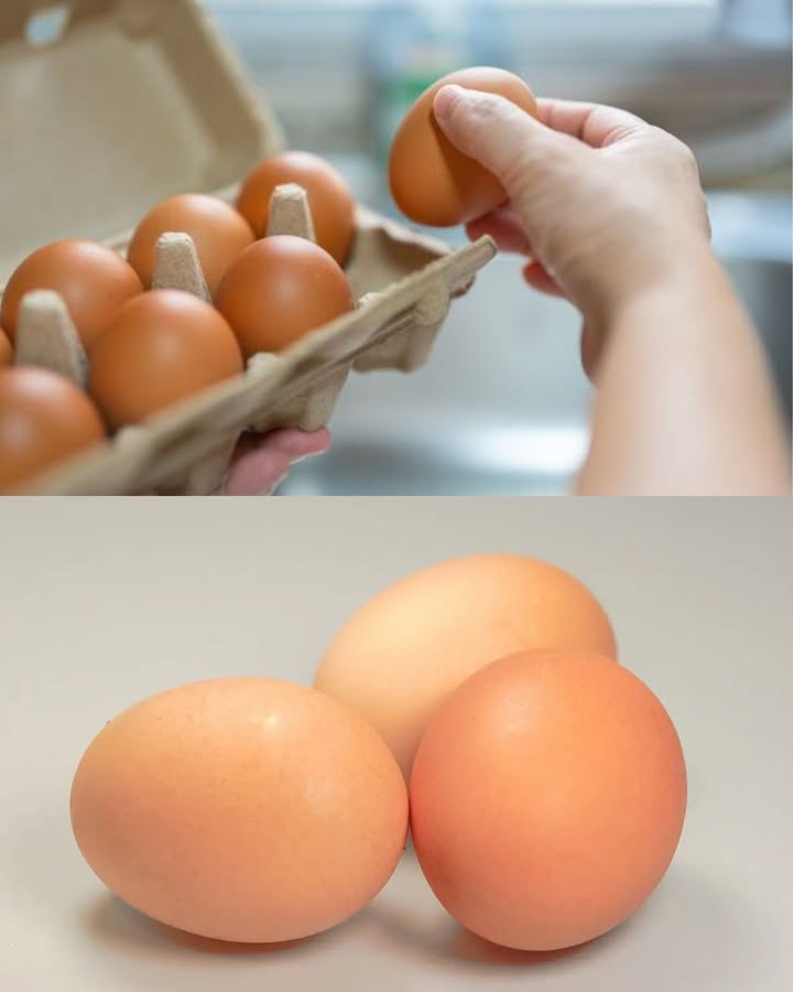 conservar los huevos frescos por más tiempo Coloca siempre los huevos en el cartón con la punta más fina hacia abajo y la parte ancha arriba. Guárdalos en la nevera, preferiblemente en una balda central, nunca en la puerta allí la temperatura cambia constantemente. Manténlos alejados de alimentos con olores fuertes quesos, platos cocinados y mejor en un envase cerrado. No los laves antes de guardarlos; la cáscara tiene una capa protectora natural. Compra la cantidad justa, ya que su almacenamiento seguro es de unos 14 días. Para comprobar si un huevo está fresco: En un vaso con agua, si se hunde está fresco. Si queda en medio aún se puede consumir, pero pronto caducará. Si flota arriba deséchalo, está en mal estado.