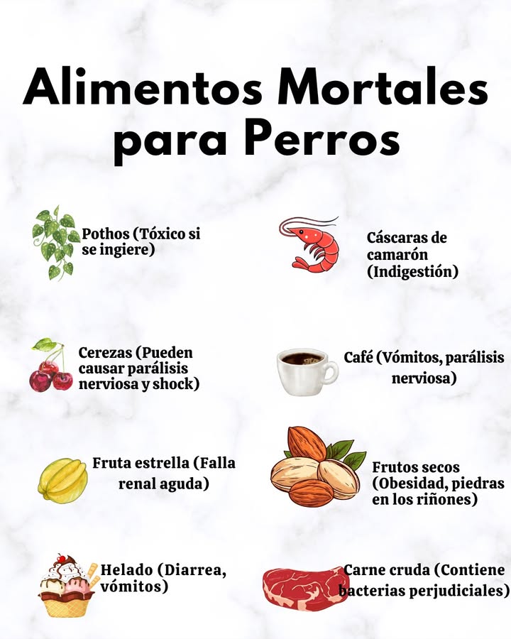 Alimentos Mortales para Perros
