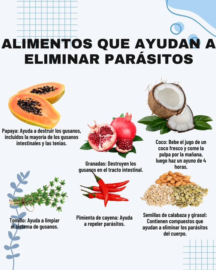 ALIMENTOS QUE AYUDAN A ELIMINAR PARÁSITOS