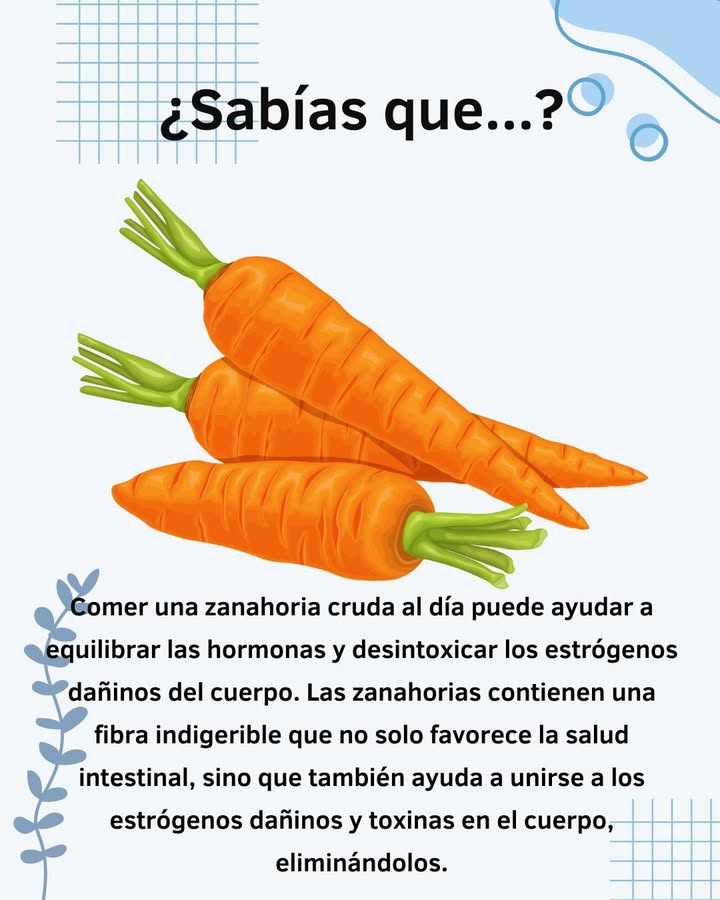 Beneficios de Comer una Zanahoria Cruda al Día