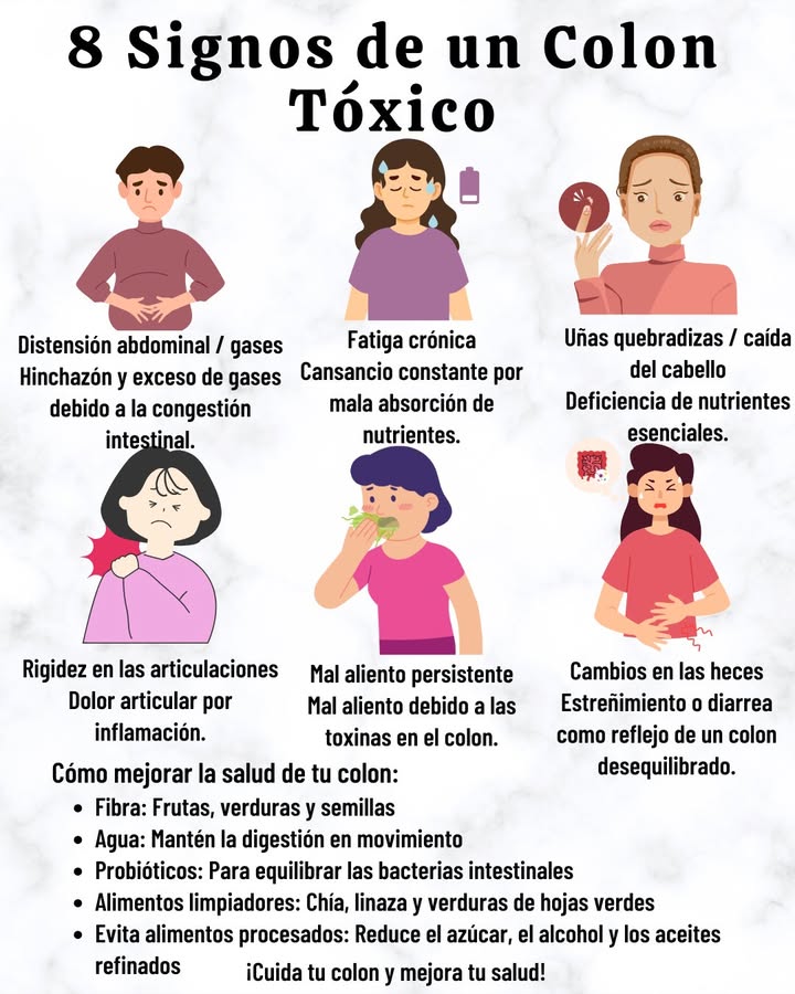 8 Signos de un Colon Tóxico
