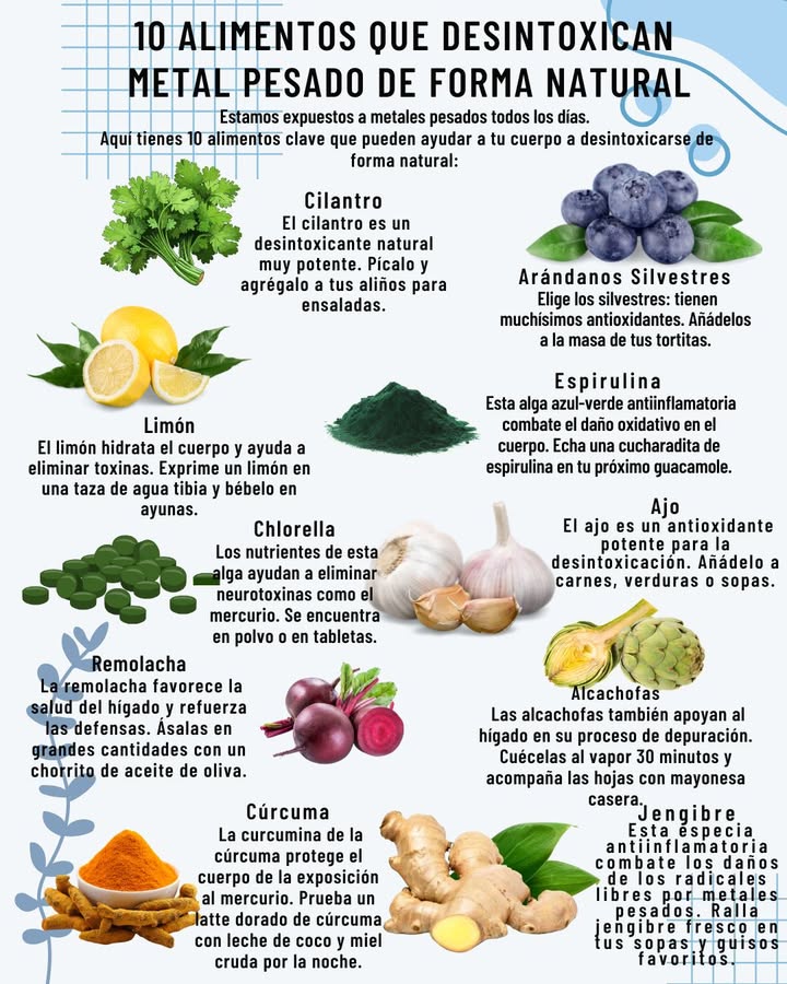10 ALIMENTOS QUE DESINTOXICAN METAL PESADO DE FORMA NATURAL