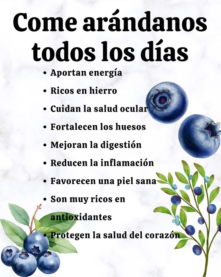 Come arándanos todos los días