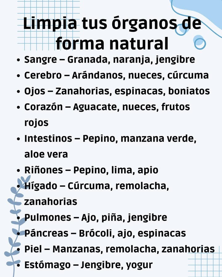 Limpia tus órganos de forma natural