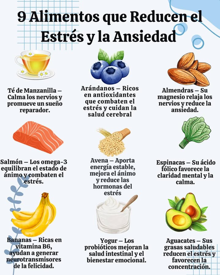 9 Alimentos que Reducen el Estrés y la Ansiedad