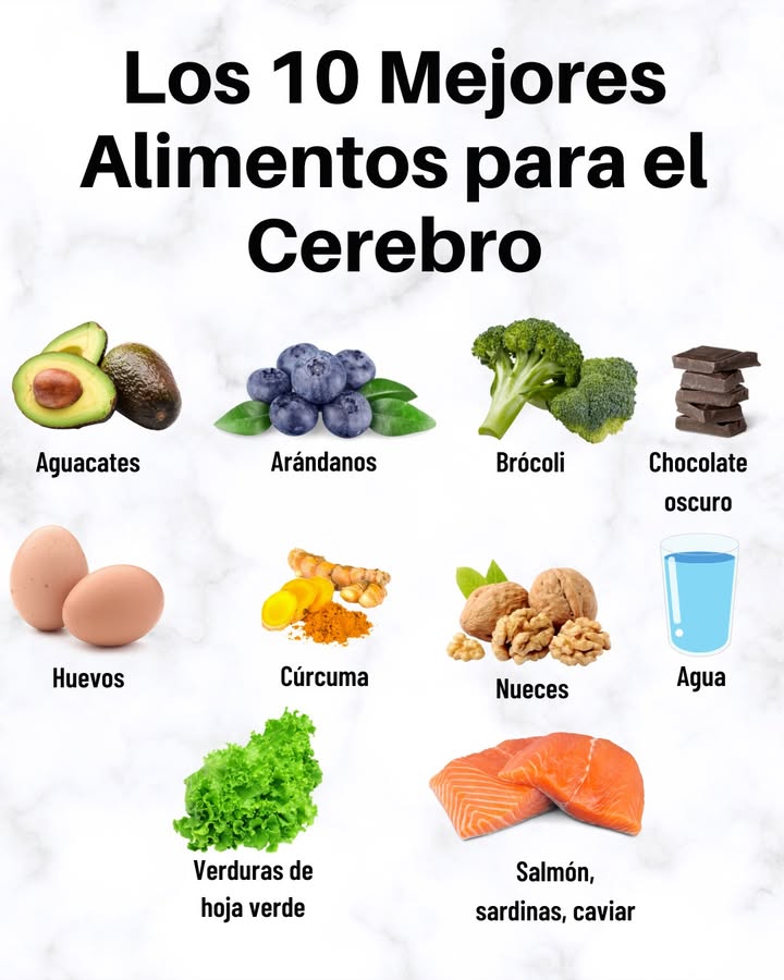 Los 10 mejores alimentos para el cerebro 易 陋 Aguacates fuente de grasas saludables 𢡄 Arándanos ricos en antioxidantes protectores 復 Brócoli aporta compuestos antiinflamatorios Chocolate oscuro estimula la memoria y el estado de ánimo 讀 Huevos contienen colina para la función cognitiva Cúrcuma favorece la salud neuronal Nueces ricas en omega-3 y antioxidantes Agua esencial para mantener la concentración 塞 Verduras de hoja verde cargadas de vitaminas y minerales Salmón, sardinas y caviar grandes fuentes de omega-3