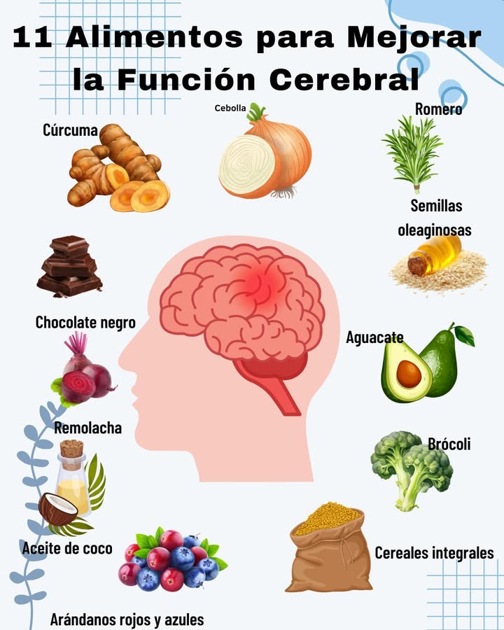 11 Alimentos para Mejorar la Función Cerebral