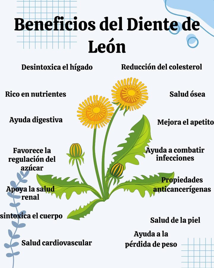 Beneficios del Diente de León