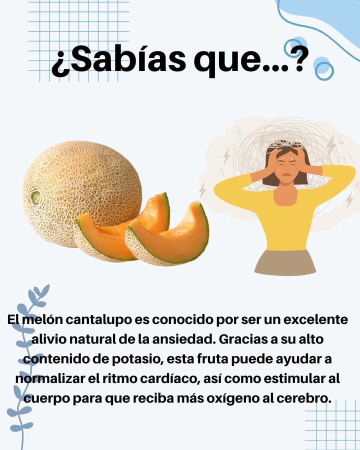 El melón cantalupo es conocido por ser un excelente alivio natural de la ansiedad. Gracias a su alto contenido de potasio, esta fruta puede ayudar a normalizar el ritmo cardíaco, así como estimular al cuerpo para que reciba más oxígeno al cerebro.