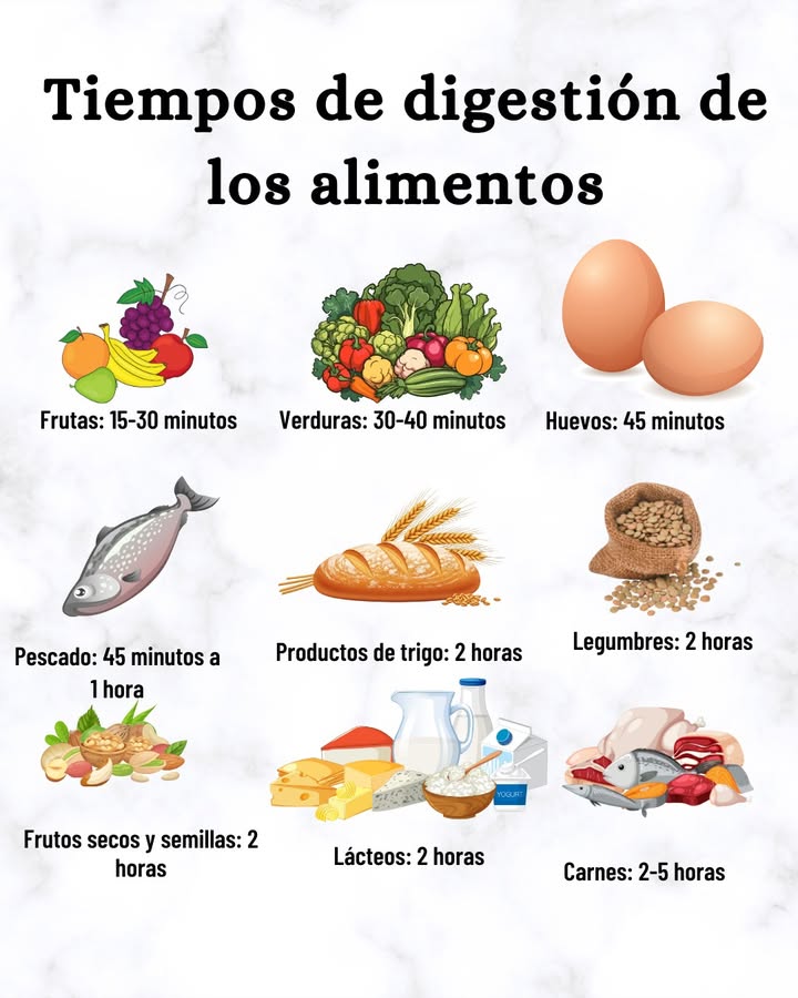 Tiempos de digestión de los alimentos