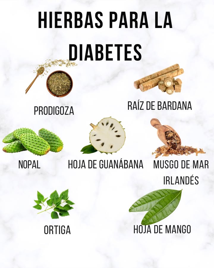 Hierbas de apoyo en la diabetes 
-Raíz de bardana
-Prodigoza
-Nopal
-Hoja de guanábana
-Musgo de mar irlandés
-Ortiga
-Hoja de mango
Estas plantas se utilizan en la medicina tradicional como apoyo en el control de la glucosa y para favorecer la salud metabólica