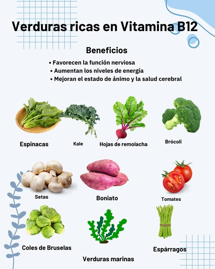 Verduras ricas en Vitamina B12