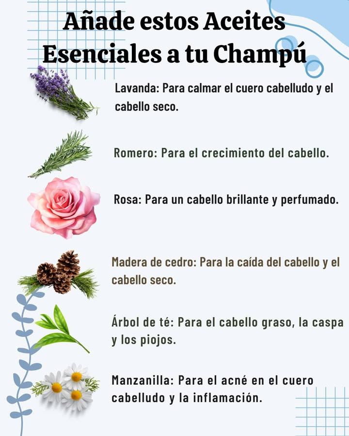 Añade estos Aceites Esenciales a tu Champú
 Lavanda:
Calma el cuero cabelludo y combate la resequedad.

 Romero:
Estimula el crecimiento del cabello.

 Rosa:
Aporta brillo y un aroma delicado.

 Madera de cedro:
Ayuda a prevenir la caída y mejora el cabello seco.

 Árbol de té:
Ideal para cabello graso, caspa y piojos.

 Manzanilla:
Alivia el acné del cuero cabelludo y reduce la inflamación.