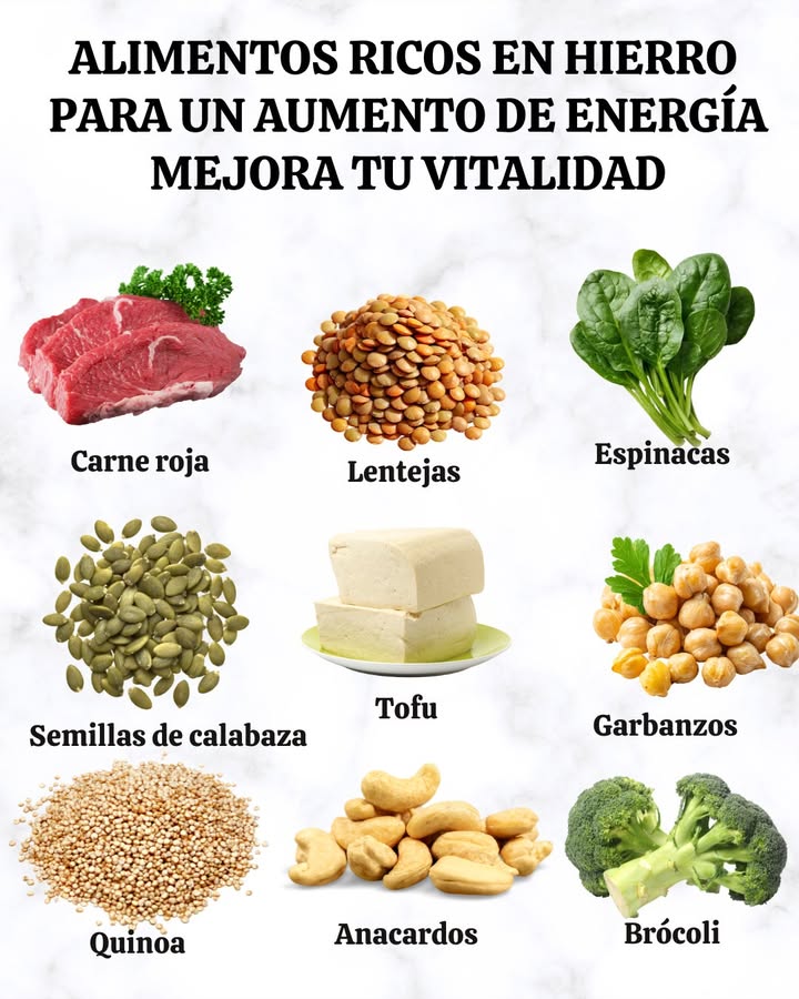 Alimentos ricos en hierro para aumentar la energía
El hierro es esencial para transportar oxígeno en la sangre y mantener la vitalidad diaria. Una alimentación equilibrada con fuentes variadas de este mineral ayuda a prevenir la fatiga y fortalecer el organismo.
-Carne roja: fuente altamente biodisponible de hierro hemo.
-Lentejas: opción vegetal rica en hierro y fibra.
-Espinacas: aportan hierro y antioxidantes naturales.
-Semillas de calabaza: concentradas en hierro, zinc y magnesio.
-Tofu: alternativa vegetal con buena cantidad de hierro y proteínas.
-Garbanzos: combinan hierro con proteínas y carbohidratos complejos.
-Quinoa: cereal completo con hierro, aminoácidos esenciales y energía sostenida.
-Anacardos: aportan hierro junto con grasas saludables.
-Brócoli: además de hierro, contiene vitamina C que mejora su absorción.
Incluir estos alimentos en la dieta diaria favorece una mejor oxigenación, mayor energía y un equilibrio general en el metabolismo.