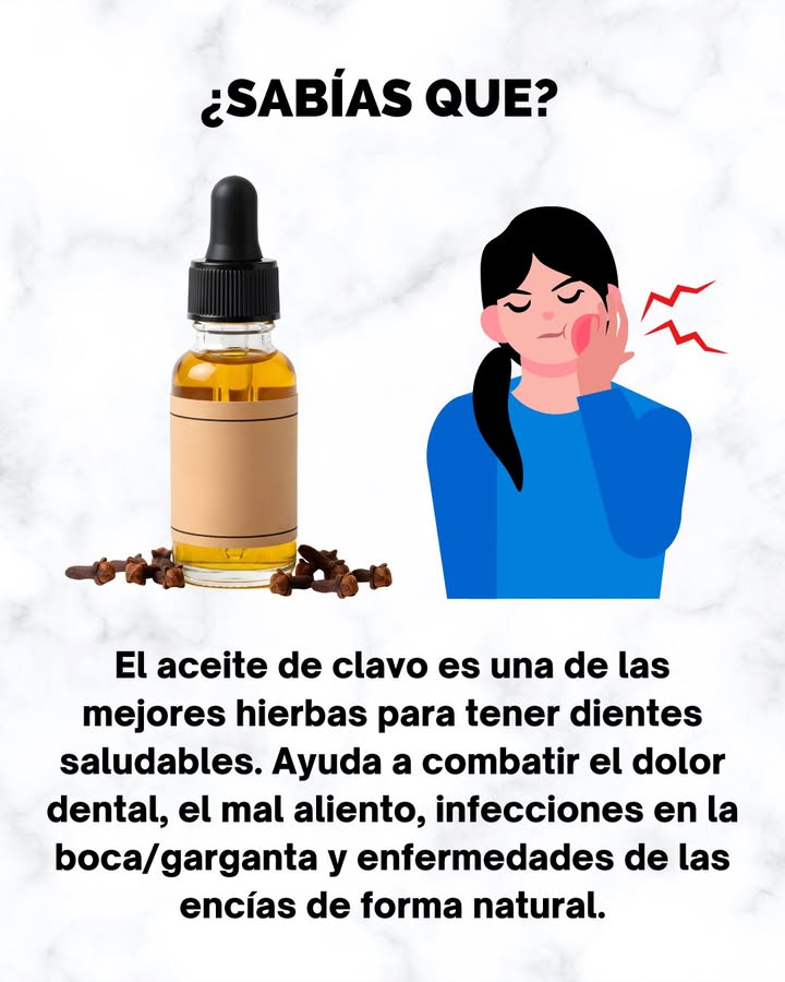 Beneficios Tradicionales del Aceite de Clavo

El aceite de clavo se ha utilizado desde hace siglos en el cuidado bucal gracias a su contenido en eugenol, un compuesto con propiedades aromáticas y calmantes. Tradicionalmente se emplea para aportar alivio temporal en molestias dentales, refrescar el aliento y apoyar la higiene oral. También se valora por su acción reconfortante en la boca y la garganta y por su capacidad para mantener las encías en buen estado.