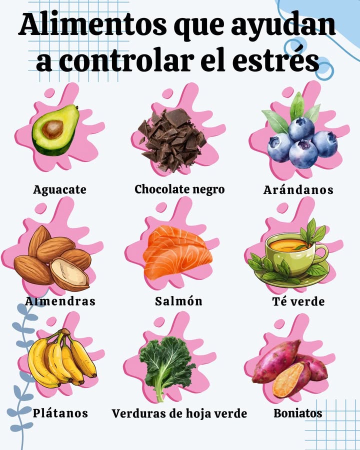 Alimentos que ayudan a controlar el estrés