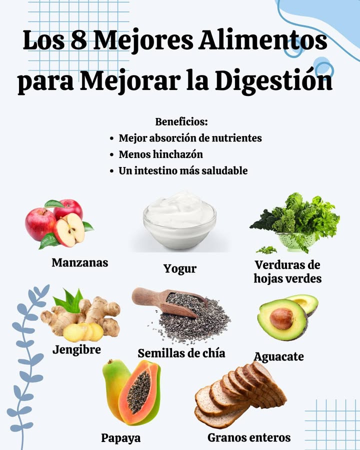 Los 8 Mejores Alimentos para Mejorar la Digestión