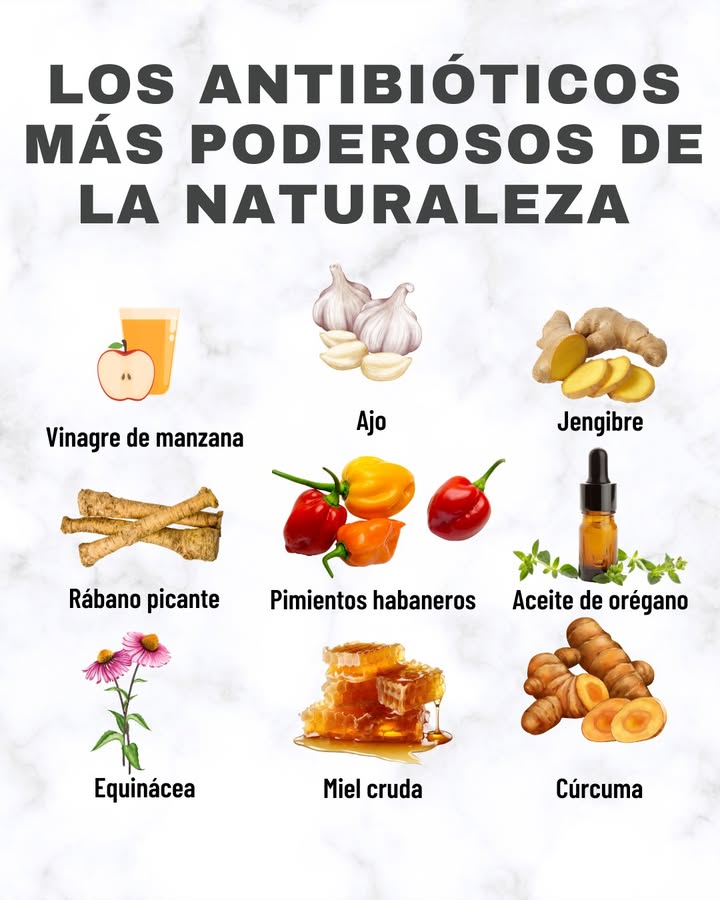 LOS ANTIBIÓTICOS MÁS PODEROSOS DE LA NATURALEZA