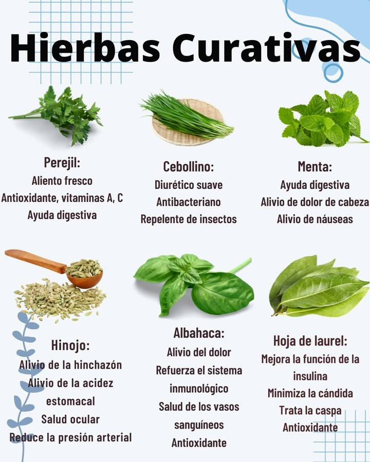 Hierbas Curativas