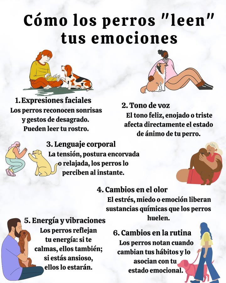 Cómo los perros “leen” tus emociones