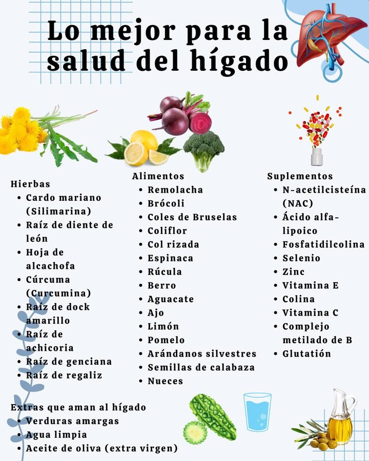 Lo mejor para la salud del hígado