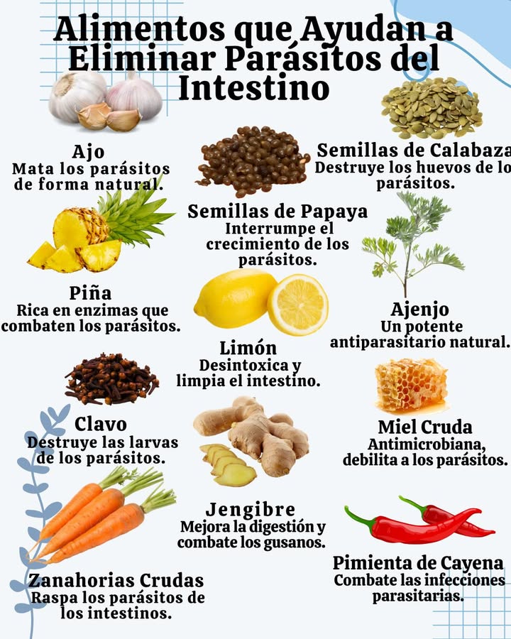 Alimentos que Ayudan a Eliminar Parásitos del Intestino