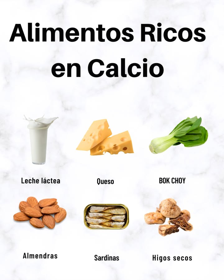 Alimentos Ricos en Calcio