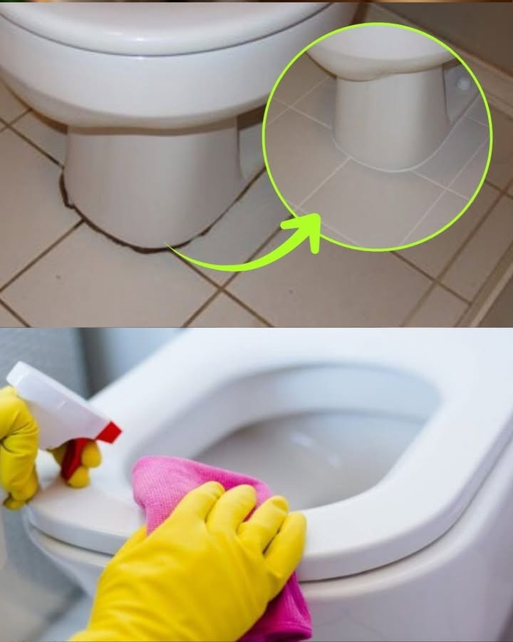 Círculo negro en la base del inodoro, sólo te librarás de él si haces esto: volverlo a hacer nuevo
Eliminar el cerco negro de la base del inodoro con vinagre de alcohol
-Verter 1 taza de vinagre de alcohol en un pulverizador.
-Rociar directamente sobre la zona con manchas o moho.
-Dejar actuar al menos 1 hora.
-Frotar con un cepillo pequeño.
-Aclarar con un paño bien escurrido.
Bicarbonato para bases de piedra o mármol:
-Mezclar bicarbonato de sodio con agua hasta formar una pasta espesa.
-Aplicar alrededor de la base del inodoro.
-Dejar actuar unos minutos.
-Frotar suavemente.
-Aclarar para retirar los restos.
Limón y vinagre:
-Filtrar el zumo de 2 limones.
-Añadir 1 vaso de vinagre y mezclar en un pulverizador.
-Rociar sobre las manchas negras.
-Dejar actuar, luego frotar con cepillo o esponja.
-Enjuagar.
Agua oxigenada:
-Usar pequeñas cantidades solo en superficies aptas no en materiales que se decoloren.
-Aplicar sobre el cerco.
-Frotar y enjuagar bien.
Mezcla milagrosa:
-Mezclar 2 cucharadas de jabón líquido, 2 cucharadas de bicarbonato y 1 cucharadas de agua oxigenada.
-Si la mezcla queda muy líquida, añadir más bicarbonato.
-Extender sobre la zona afectada.
-Dejar actuar toda la noche.
-Frotar suavemente y enjuagar.
-No frotar directamente sobre el silicón para evitar daños.
Recomendación:
-Mantener la limpieza frecuente del área para evitar acumulación de suciedad o moho.
-Estas soluciones también sirven para limpiar otras partes del baño y dejar buen olor.