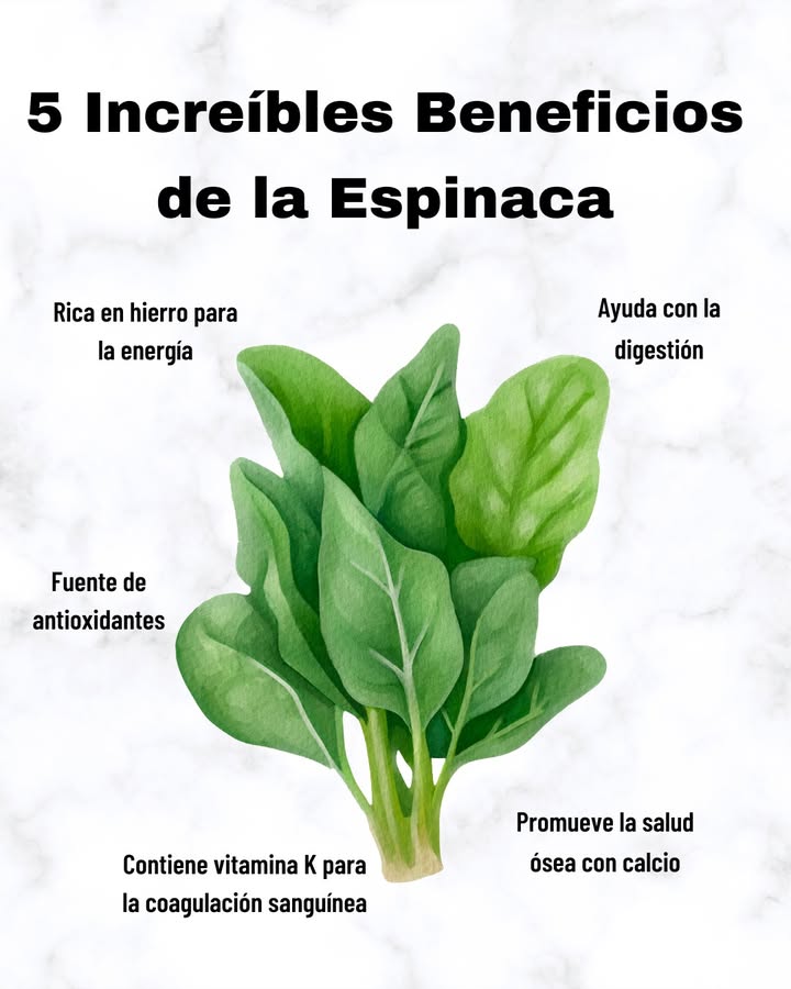 5 Increíbles Beneficios de la Espinaca