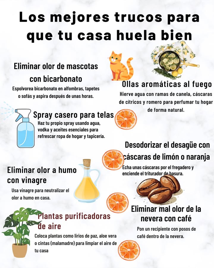 Los mejores trucos para que tu casa huela bien