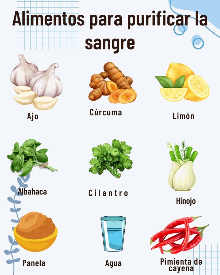 Alimentos para purificar la sangre