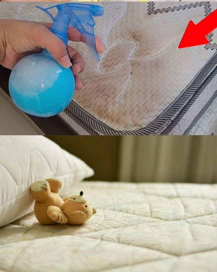 Esto eliminará toda la suciedad, el moho y el hedor de los colchones de su casa.
-Asegura que el colchón tenga una base firme y gíralo cada 3 meses.
-Usa siempre un protector de colchón para evitar manchas y suciedad.
-No saltes ni pongas peso excesivo sobre el colchón.
-Para limpiar suciedad, moho y malos olores prepara esta mezcla:
-1 taza de agua oxigenada
-1 taza de agua
– taza de vinagre blanco
-2 cucharadas de detergente líquido para platos
-Mezcla todo en un pulverizador y agita bien.
-Rocía la mezcla sobre el colchón.
-Deja actuar 15 minutos.
-Retira la mezcla con un paño limpio y seco.
-Deja secar al aire libre.
-Verifica antes en una zona pequeña que el tejido del colchón no se dañe