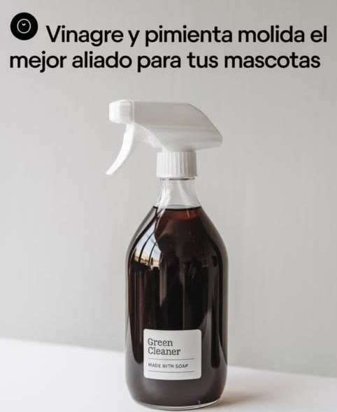 Adiós a la orina de perros y gatos con este remedio casero 
Si quieres evitar que tus mascotas o los animales callejeros orinen en ciertos lugares, prueba esta mezcla natural y efectiva.
 Ingredientes:
 1 taza de vinagre
 1 cucharada de pimienta
 El jugo de 1 limón
 1 taza de agua
 Preparación y uso:
1 Mezcla todos los ingredientes en un recipiente.
2 Vierte la solución en un atomizador.
3 Rocía en las áreas donde suelen hacer pipí.
Este remedio es seguro y ayudará a mantener los espacios limpios sin dañar a los animalitos.