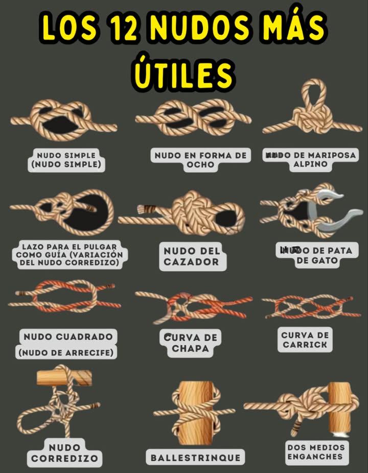甆 Domina el Arte de los Nudos con esta Guía Visual
1. Nudo Simple  Ideal como tope o para rematar una cuerda.
2. Nudo en Ocho  Punto de anclaje seguro, evita que se deslice.
3. Nudo As de Guía  Bucle fijo que no se aprieta con la tensión.
4. Nudo As de Guía con Cote  Lazo fuerte y estable, fácil de desatar.
5. Nudo del Cazador  Une dos cuerdas con firmeza.
6. Nudo Pata de Gato  Acorta cuerda o se engancha fácilmente a un gancho.
7. Nudo Llano Cuadrado  Une dos cuerdas del mismo grosor.
8. Nudo de Alondra  Sujeta una cuerda a un objeto o aro.
9. Nudo Carrick  Une cuerdas gruesas para cargas pesadas.
10. Nudo Deslizable  Lazo ajustable, versátil para muchos usos.
11. Nudo Ballestrinque  Fija rápido una cuerda a un poste.
12. Nudo de Ancla  Firme sujeción a un anillo o punto de anclaje.
 Domina estos nudos para navegación, campismo, jardinería, escalada o bricolaje. Siempre listos para cualquier aventura
#Nudos #GuíaVisual #HazloTuMismo 甆
