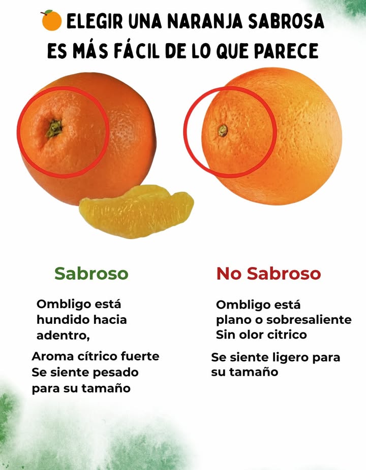 Elegir una naranja sabrosa es más fácil de lo que parece. Observa su ombligo: si está hundido hacia adentro, desprende un aroma cítrico fuerte y se siente pesada para su tamaño, tendrás una fruta jugosa y llena de sabor. Por el contrario, las naranjas con ombligo plano o sobresaliente, sin olor y más livianas suelen ser menos dulces y con menos jugo. La naturaleza nos da señales simples para disfrutar de lo mejor: solo hay que aprender a observar. #Naranjas #FrutasFrescas #ComidaSaludable #VidaNatural #DisfrutaLoMejor