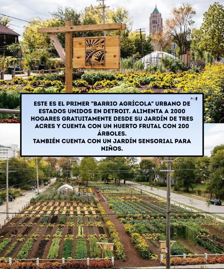 Este es el primer "barrio agrícola" urbano de Estados Unidos en Detroit. Alimenta a 2000 hogares gratuitamente desde su jardín de tres acres y cuenta con un huerto frutal con 200 árboles. TAMBIÉN CUENTA CON UN JARDÍN SENSORIAL PARA NIÑOS.