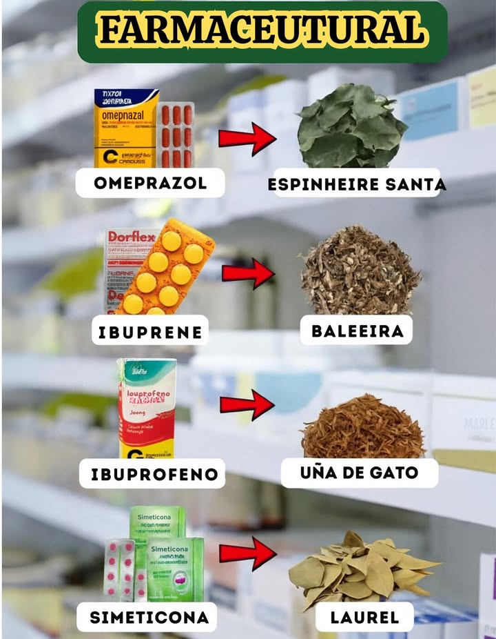 Farmacia Natural: Alternativas de la Naturaleza Omeprazol Espinheira Santa protege el estómago y ayuda contra la acidez. Dorflex Baleira alivia dolores musculares y articulares. Ibuprofeno Uña de Gato antiinflamatorio natural y fortalecedor del sistema inmune. Simeticona Laurel mejora la digestión y reduce los gases. La naturaleza ofrece poderosos aliados para tu bienestar. Usa siempre con orientación adecuada y cuida tu salud de forma natural. #FarmaciaNatural #Salud #Bienestar