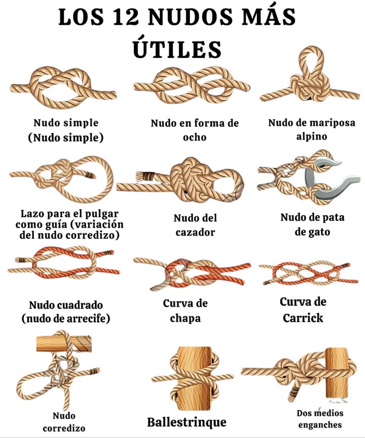 甆 Nudos Esenciales: Técnicas para Cada Situación 1. Nudo Simple Ideal como tope o para rematar una cuerda. 2. Nudo en Ocho Punto de anclaje seguro, evita que se deslice. 3. Nudo As de Guía Bucle fijo que no se aprieta con la tensión. 4. Nudo As de Guía con Cote Lazo fuerte y estable, fácil de desatar. 5. Nudo del Cazador Une dos cuerdas con firmeza. 6. Nudo Pata de Gato Acorta cuerda o se engancha fácilmente a un gancho. 7. Nudo Llano Cuadrado Une dos cuerdas del mismo grosor. 8. Nudo de Alondra Sujeta una cuerda a un objeto o aro. 9. Nudo Carrick Une cuerdas gruesas para cargas pesadas. 10. Nudo Deslizable Lazo ajustable, versátil para muchos usos. 11. Nudo Ballestrinque Fija rápido una cuerda a un poste. 12. Nudo de Ancla Firme sujeción a un anillo o punto de anclaje. Domina estos nudos para navegación, campismo, jardinería, escalada o bricolaje. Siempre listos para cualquier aventura