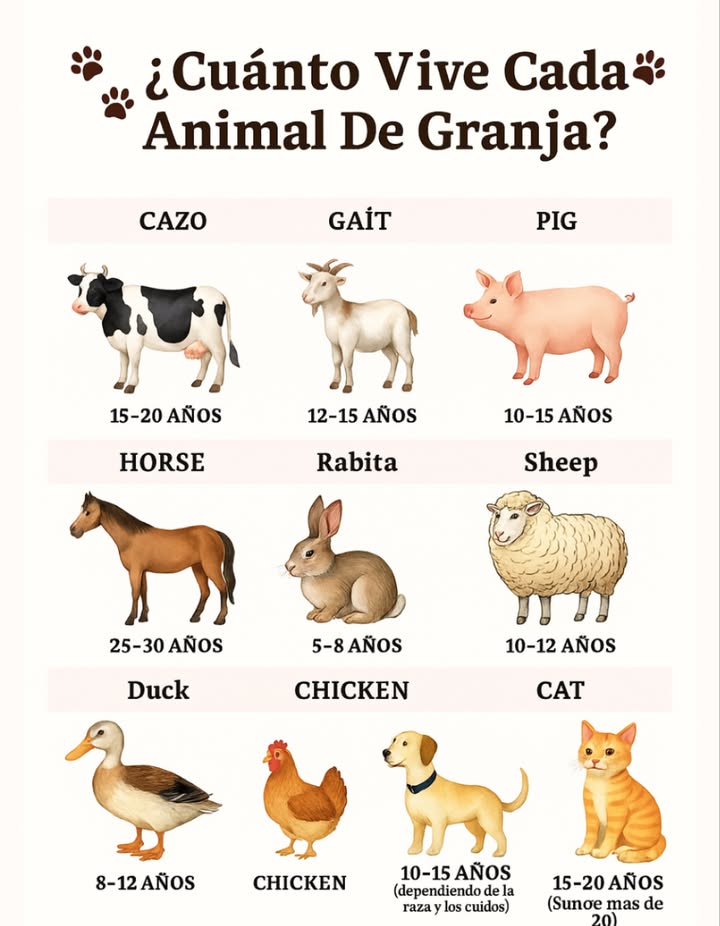 Sabías cuánto puede vivir cada animal de granja
Conocer su esperanza de vida nos ayuda a brindarles mejor cuidado, alimentación adecuada y un entorno saludable. 閭

 Aquí tienes una guía rápida:

 Vaca: 1520 años

 Cabra: 1215 años

 Cerdo: 1015 años

 Caballo: 2530 años

 Conejo: 58 años

 Oveja: 1012 años

閭 Pato: 812 años

 Gallina: 510 años

 Perro: 1015 años según raza y cuidados

 Gato: 1218 años algunos más de 20

 Cuidarlos con respeto es parte de una granja sana y consciente.